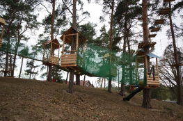 Stegna Atrakcja park linowy Park Linowy 